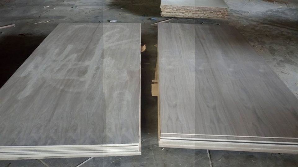 Gỗ Plywood - đặc điểm, phân loại và ứng dụng 12