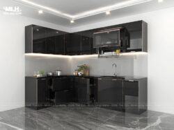 Tủ bếp inox cánh kính màu đen TIML05